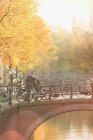 Portrait couple with bicycles hugging on urban autumn bridge over canal, Amsterdam — Stock Photo