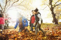 Jovem família brincalhão brincando em folhas de outono no parque ensolarado — Fotografia de Stock