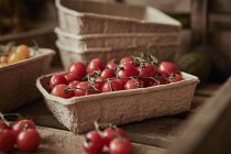 Ainda vida fresca, orgânica, saudável, tomates cereja de videira vermelha em recipiente — Fotografia de Stock