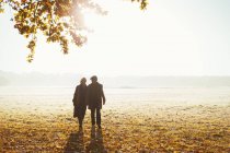 Силуэт пожилая пара, держащаяся за руки, гуляющая в солнечном осеннем парке — стоковое фото