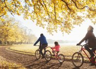 Bicicleta jovem família andando no caminho em florestas de outono ensolaradas — Fotografia de Stock