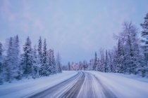 Camino remoto de invierno a través de árboles forestales cubiertos de nieve contra el cielo azul, Laponia, Finlandia - foto de stock