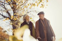 Sonriente pareja de ancianos tomados de la mano y caminando en el soleado parque de otoño - foto de stock