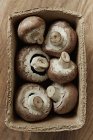 Still life fresh, organic, healthy, six brown mushrooms in container — Stock Photo