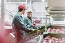 Trabajadores que hablan e inspeccionan manzanas en planta de procesamiento de alimentos - foto de stock