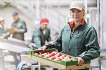 Trabajadora femenina confiada en retratos que lleva caja de manzanas en planta de procesamiento de alimentos - foto de stock