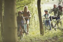 Família mountain bike em bosques — Fotografia de Stock