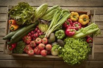 Натюрморт свежий, органический, здоровый сорт овощей в ящике — стоковое фото