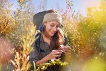 Young woman hiking, picking flower in sunny field — Stock Photo
