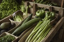 Bodegón fresco, orgánico, saludable, cosecha de verduras verdes variedad en caja de madera - foto de stock