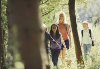 Madre e hijas de senderismo en bosques soleados - foto de stock
