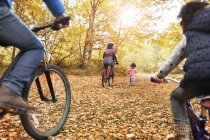 Young family bike riding in autumn woods — Stock Photo