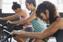 Mulheres jovens focadas usando bicicletas elípticas em aulas de exercício — Fotografia de Stock
