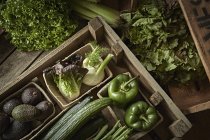 Still life fresh, organic, green, healthy vegetable variety in wood crate — Stock Photo