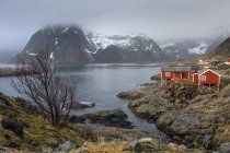 Villaggio di pescatori sul lungomare sotto le montagne innevate e scoscese, Hamnoya, Lofoten, Norvegia — Foto stock