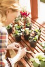 Donna che scrive su etichette bastone piante da vaso in serra — Foto stock
