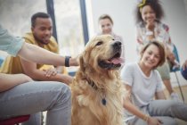 People petting dog in group therapy session — Stock Photo