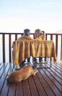 Acogedora pareja y perro en el balcón - foto de stock
