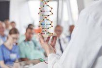 Scientist holding helix model in conference — Stock Photo