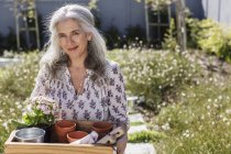 Portrait mature woman carrying gardening tray in sunny garden — Stock Photo