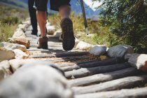 Füße männlicher Wanderer wandern auf Baumstamm-Fußweg — Stockfoto