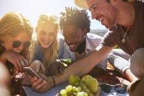 Молоді друзі спілкуються з мобільним телефоном, насолоджуючись сонячним літнім пікніком — стокове фото