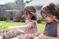 Schwestern pflanzen Setzlinge im sonnigen Hof — Stockfoto