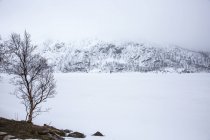 Транквиль, снежный пейзаж, Канстад, Хинноя, Норвегия — стоковое фото