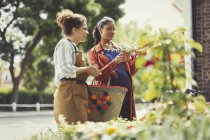 Floristería femenina ayudando a comprador embarazada con plantas en maceta en tienda de flores - foto de stock