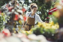 Sorridente fiorista femminile organizzare display al soleggiato negozio — Foto stock