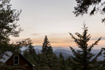 Ruhige Silhouette der Berge jenseits der Bäume — Stockfoto