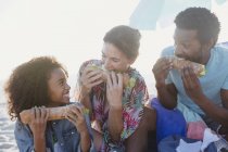Familia multiétnica juguetona comiendo sándwiches de baguette en la playa - foto de stock