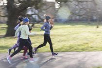 Läuferinnen laufen im sonnigen Park — Stockfoto