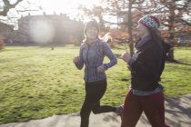 Улыбающиеся бегуньи бегают в солнечном парке — стоковое фото