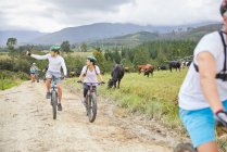 Amigos mountain bike em estrada de terra rural ao longo de pasto de vaca — Fotografia de Stock