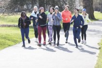 Друзья бегуны бегают в солнечном парке — стоковое фото