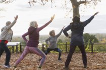 Active seniors practicing yoga in autumn park — Stock Photo