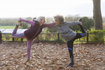 Mujeres mayores activas amigas estirándose en el parque de otoño - foto de stock