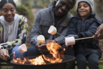 Grandfather and grandchildren roasting marshmallows at campfire — Stock Photo
