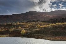 Tranquil autumn landscape, Glen Cannich, Scotland — Stock Photo