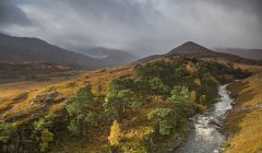 Tranquilo vale paisagem e rio, Glen Strathfarrar, Escócia — Fotografia de Stock