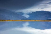 Ghiacciaio sul tranquillo, placido oceano, Vatnajokull, Islanda — Foto stock