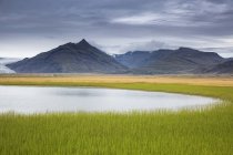 Paisaje tranquilo y remoto de montaña con hierba fresca y verde, Islandia - foto de stock
