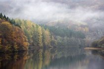 Geheimnisvoller Nebel über ruhigen Herbstbäumen und See, Loch faskally, Pitlochry, Schottland — Stockfoto