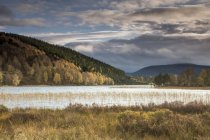 Tranquilo, paisagem idílica com colinas de outono e lago, Loch Pityoulish, Aviemore, Escócia — Fotografia de Stock