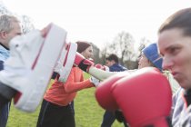 Group of people boxing in green park — Stock Photo