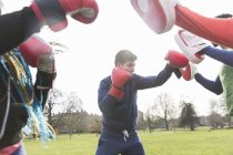 Jeune homme boxe dans un parc vert — Photo de stock