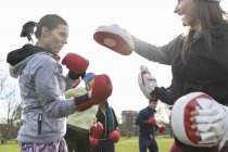 Determined women boxing in green park — Stock Photo