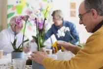 Hombre mayor activo con la orquídea del riego de la botella del aerosol en clase de arreglo floral - foto de stock