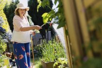 Giardinaggio di donna più anziano attivo, impianti annaffianti — Foto stock
